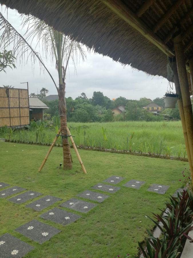 Hello Canggu Homestay Luaran gambar